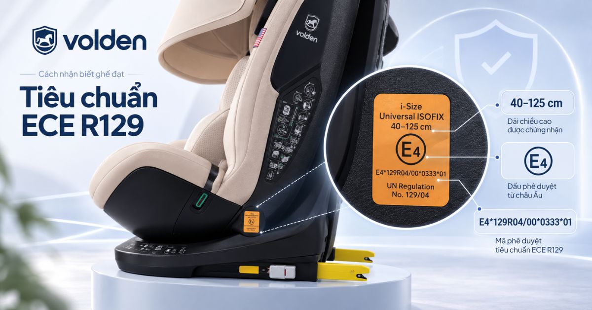 Tiêu chuẩn ECE R129 của ghế ô tô là gì? 9 Cách nhận biết ghế đạt tiêu chuẩn ECE R129