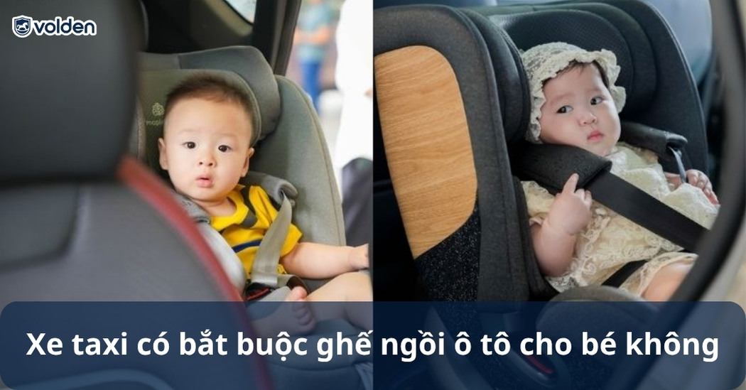Xe taxi có bắt buộc ghế ngồi ô tô cho bé không? [Giải đáp]