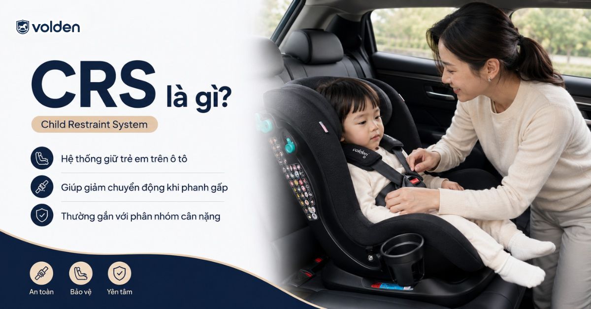 Ghế trẻ em CRS và ECRS là gì? Khác nhau như thế nào? 4 Tìm hiểu CRS là gì?