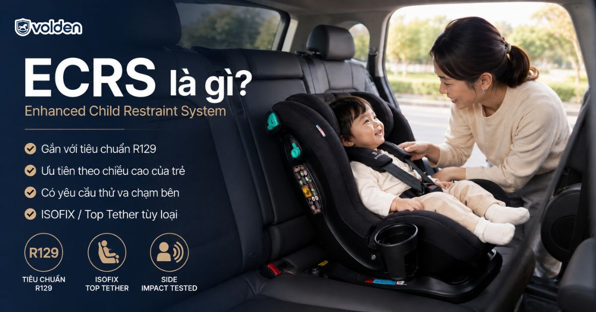 Ghế trẻ em CRS và ECRS là gì? Khác nhau như thế nào? 5 Tìm hiểu ECRS là gì?