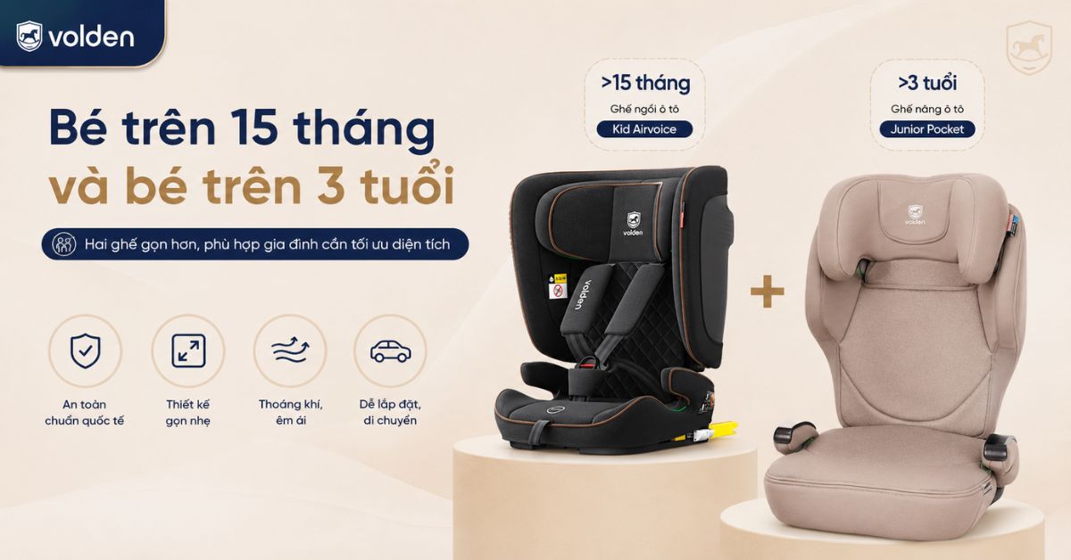 Gia đình có 2 bé cần chọn ghế ô tô nào phù hợp theo từng độ tuổi? 10 Bé trên 15 tháng và bé trên 3 tuổi