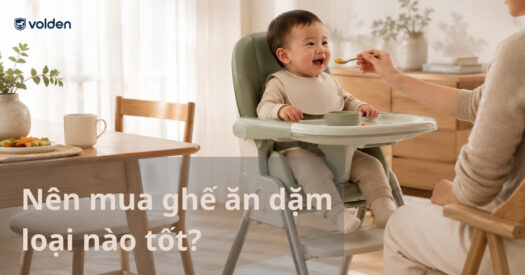 Nên mua ghế ăn dặm loại nào tốt cho bé? Ưu và nhược điểm các mẫu ghế 